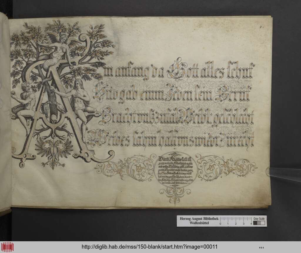 http://diglib.hab.de/mss/150-blank/00011.jpg