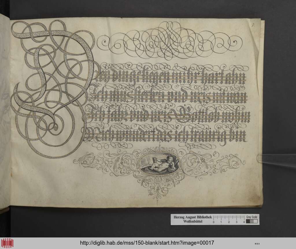 http://diglib.hab.de/mss/150-blank/00017.jpg
