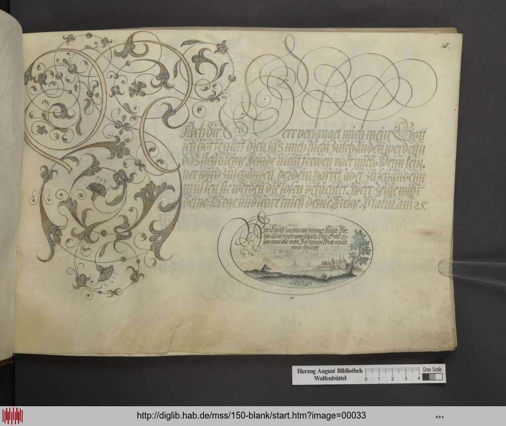 http://diglib.hab.de/mss/150-blank/00033.jpg