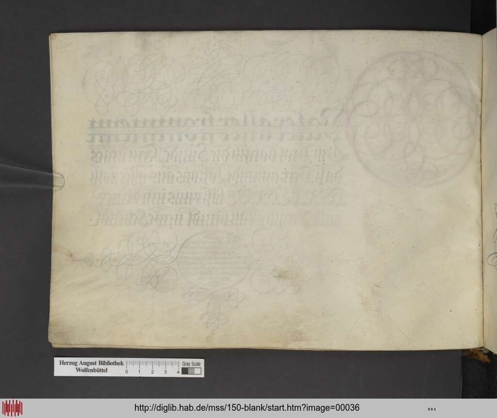 http://diglib.hab.de/mss/150-blank/00036.jpg