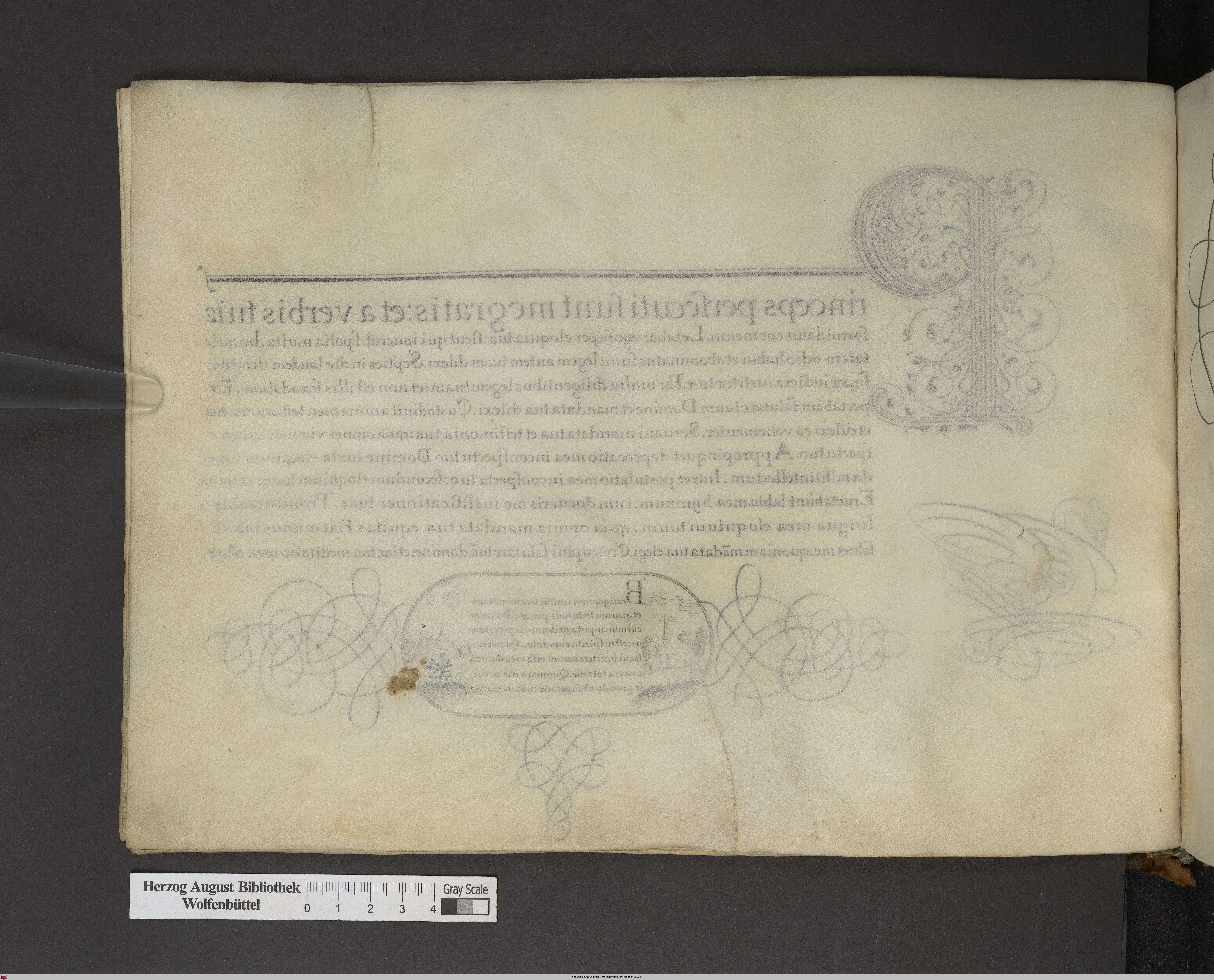 http://diglib.hab.de/mss/150-blank/max/00038.jpg