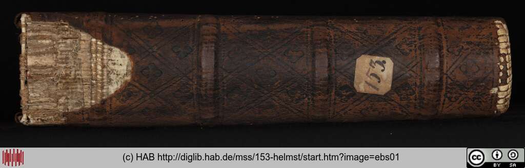 http://diglib.hab.de/mss/153-helmst/ebs01.jpg