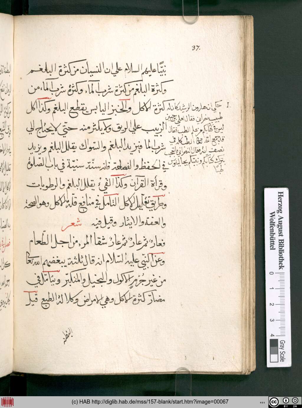 http://diglib.hab.de/mss/157-blank/00067.jpg