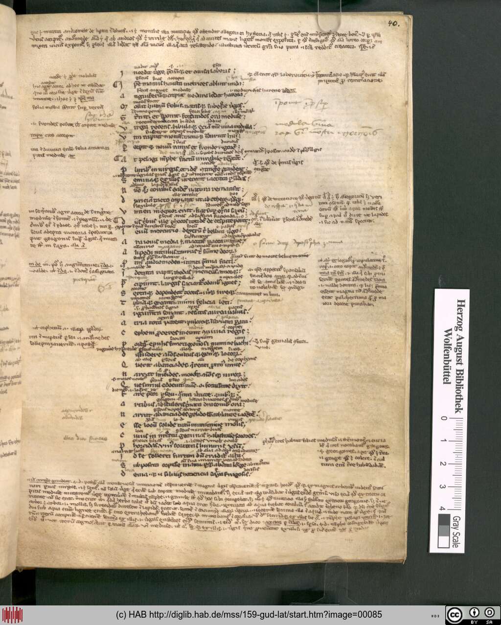 http://diglib.hab.de/mss/159-gud-lat/00085.jpg