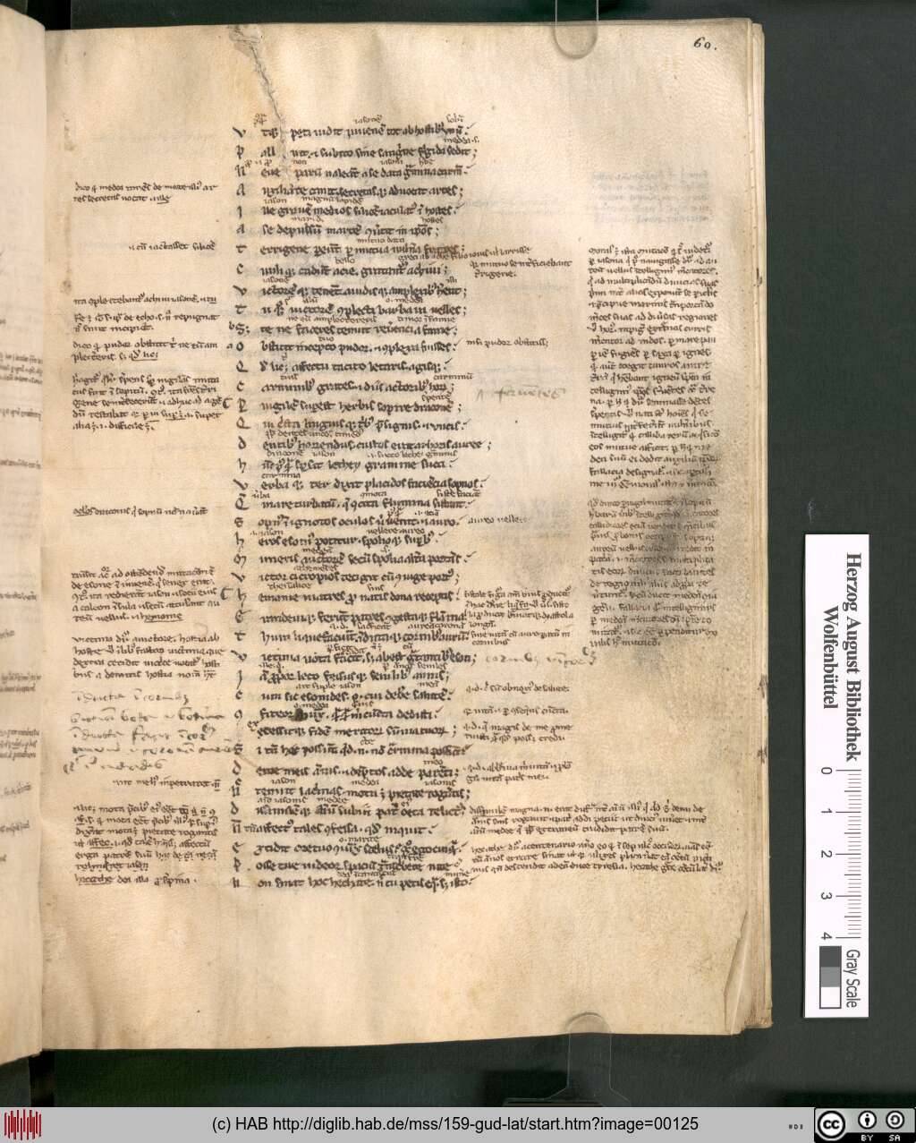 http://diglib.hab.de/mss/159-gud-lat/00125.jpg