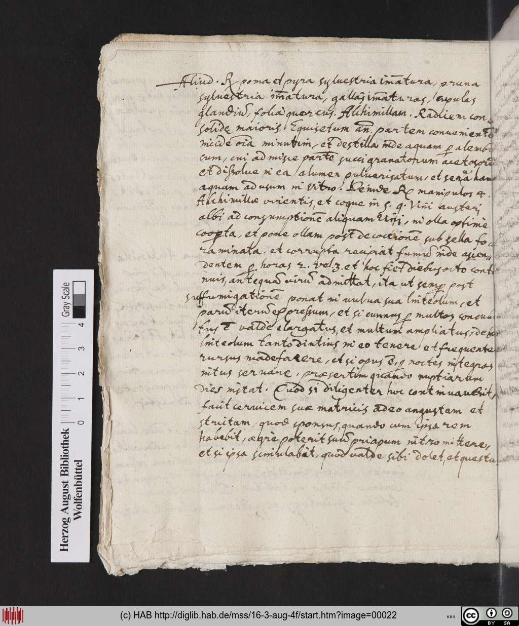 http://diglib.hab.de/mss/16-3-aug-4f/00022.jpg