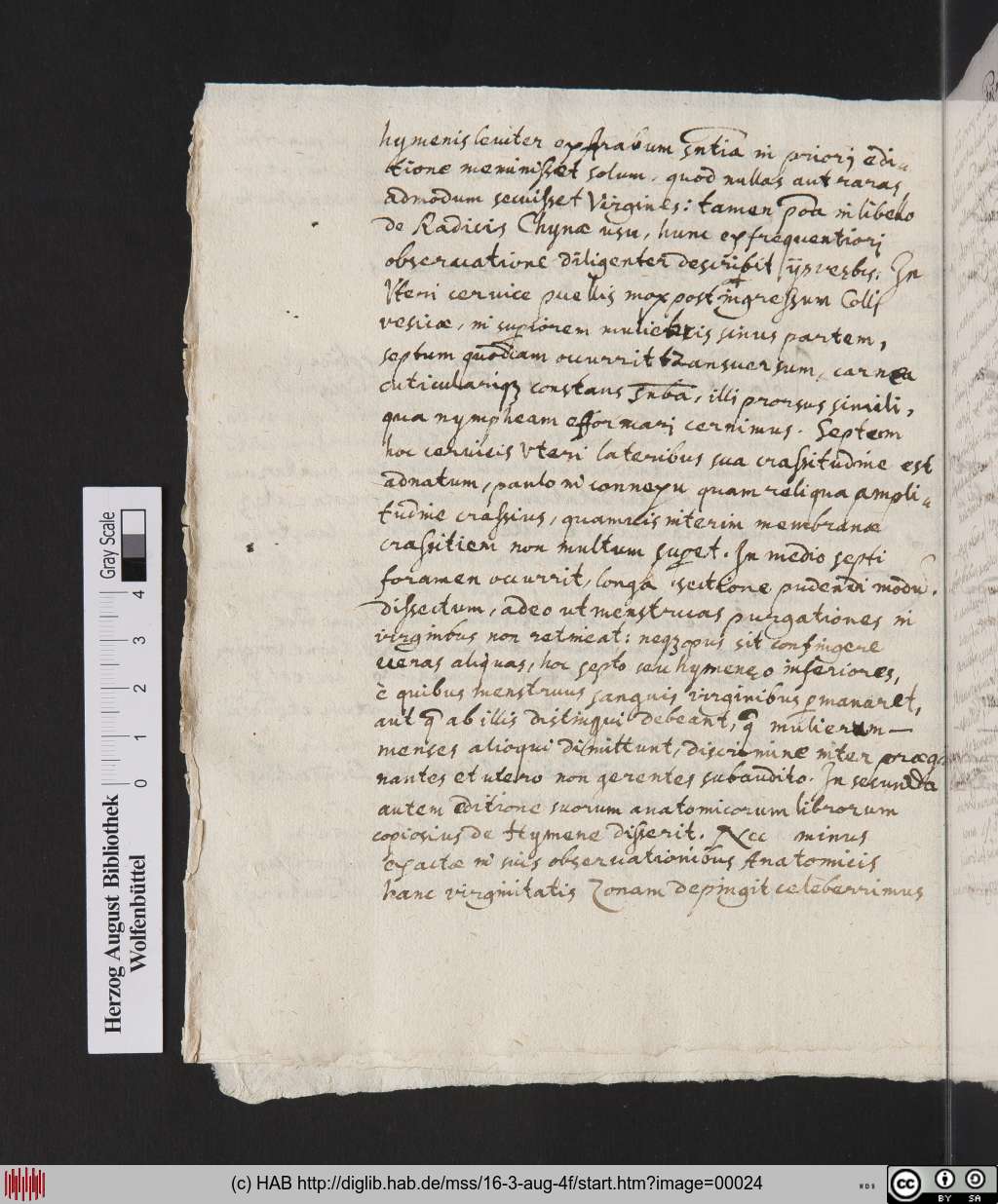 http://diglib.hab.de/mss/16-3-aug-4f/00024.jpg
