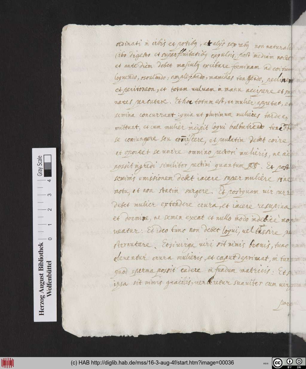 http://diglib.hab.de/mss/16-3-aug-4f/00036.jpg