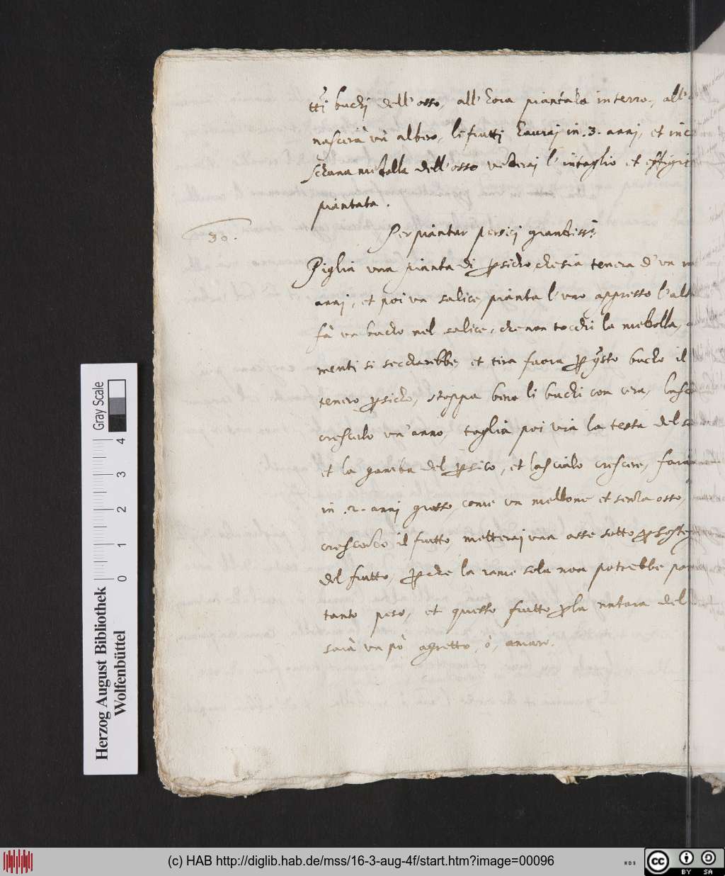 http://diglib.hab.de/mss/16-3-aug-4f/00096.jpg