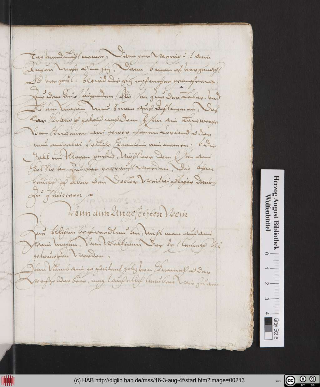http://diglib.hab.de/mss/16-3-aug-4f/00213.jpg