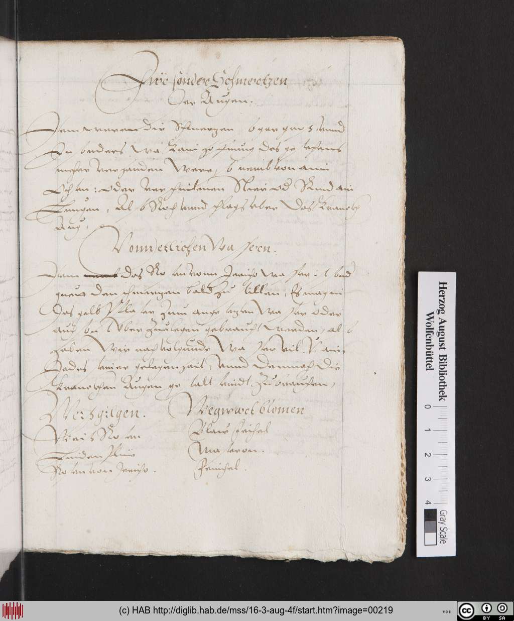 http://diglib.hab.de/mss/16-3-aug-4f/00219.jpg