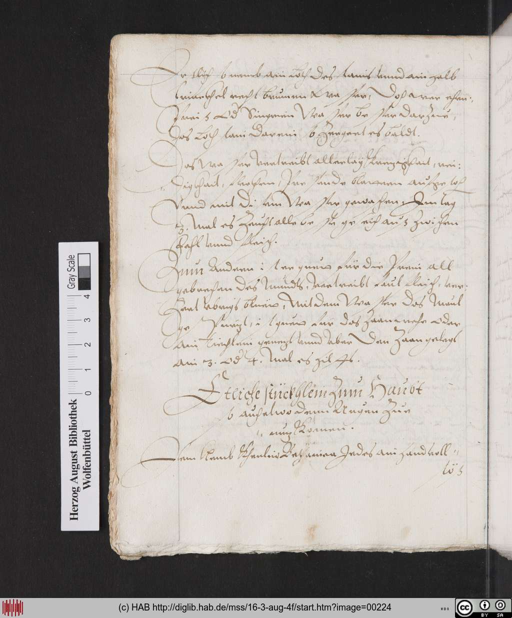 http://diglib.hab.de/mss/16-3-aug-4f/00224.jpg