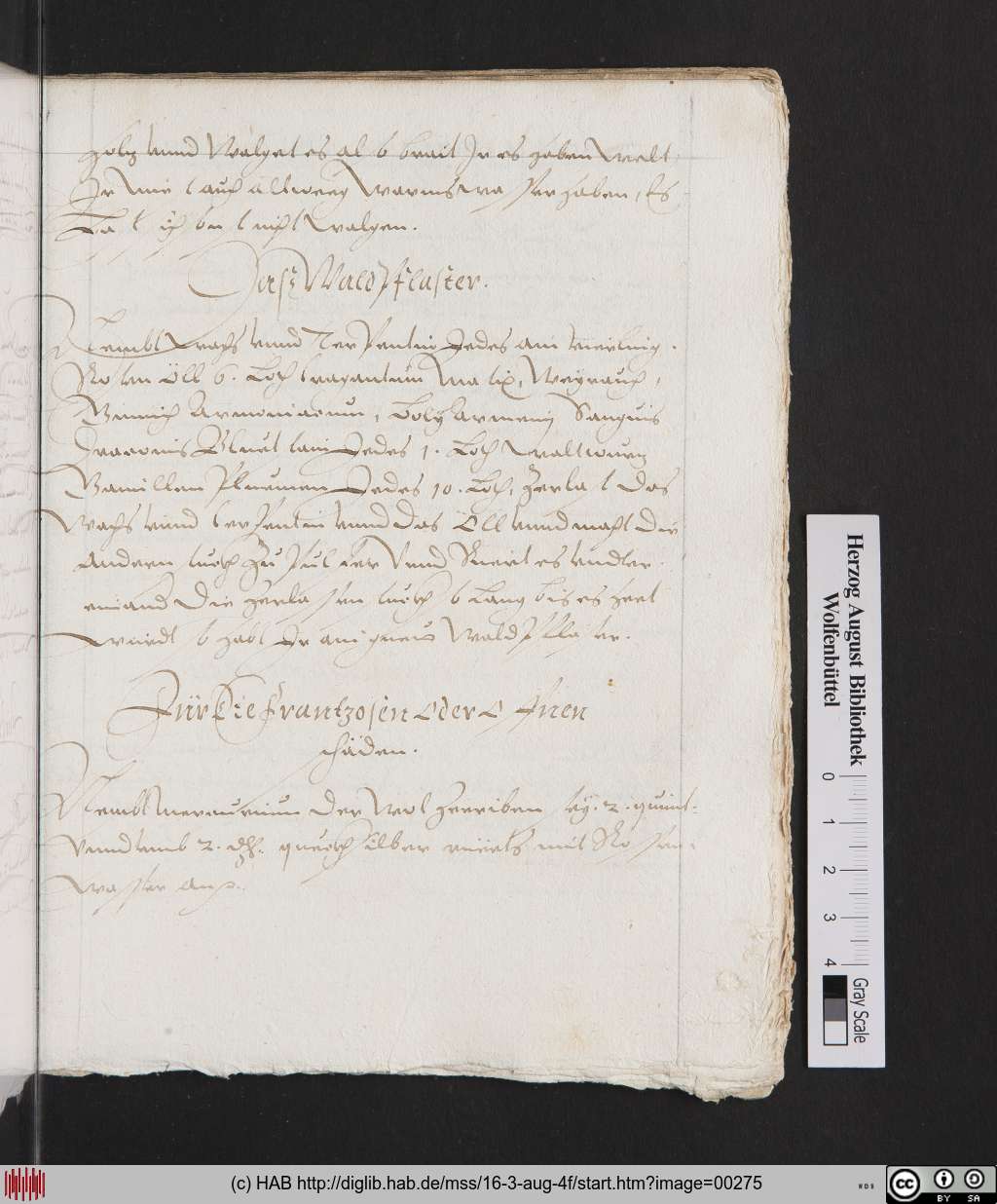 http://diglib.hab.de/mss/16-3-aug-4f/00275.jpg