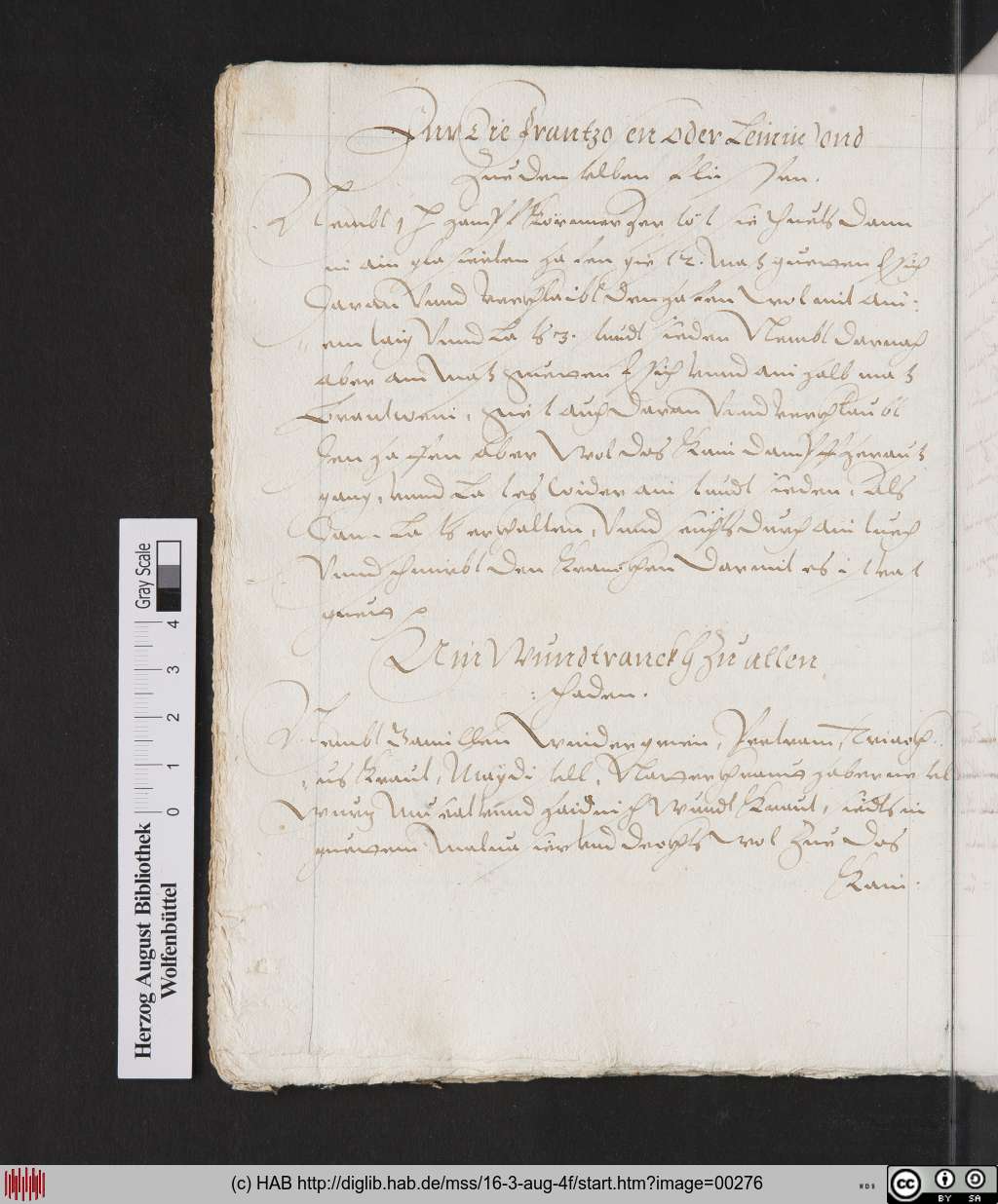 http://diglib.hab.de/mss/16-3-aug-4f/00276.jpg