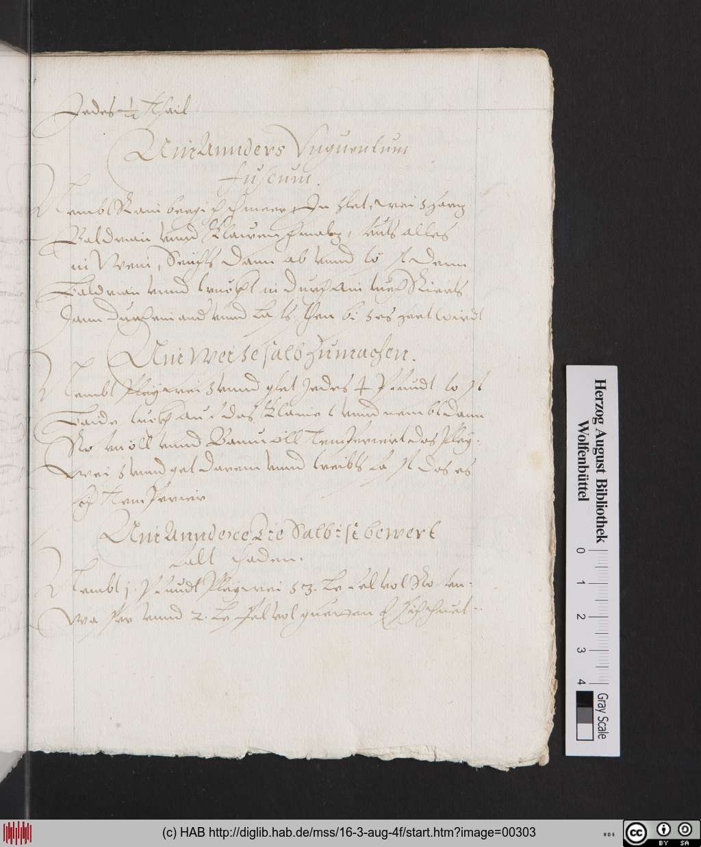 http://diglib.hab.de/mss/16-3-aug-4f/00303.jpg