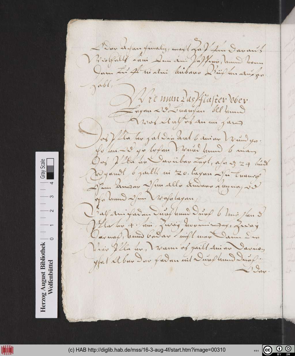 http://diglib.hab.de/mss/16-3-aug-4f/00310.jpg