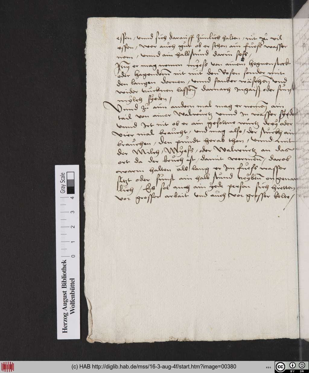 http://diglib.hab.de/mss/16-3-aug-4f/00380.jpg
