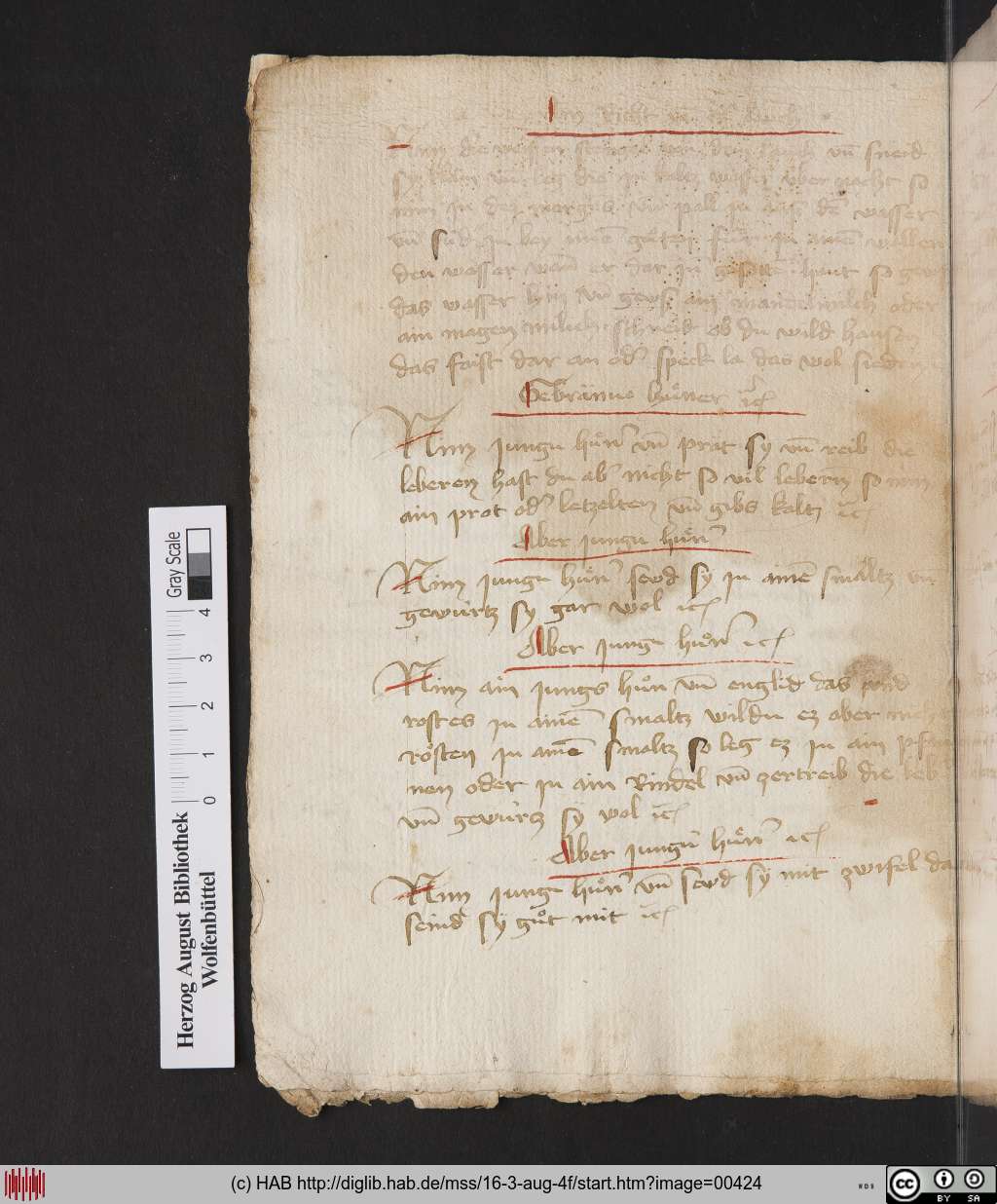 http://diglib.hab.de/mss/16-3-aug-4f/00424.jpg