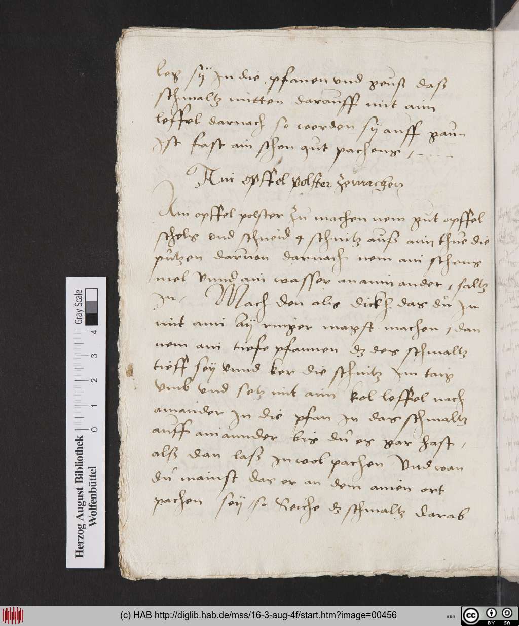 http://diglib.hab.de/mss/16-3-aug-4f/00456.jpg