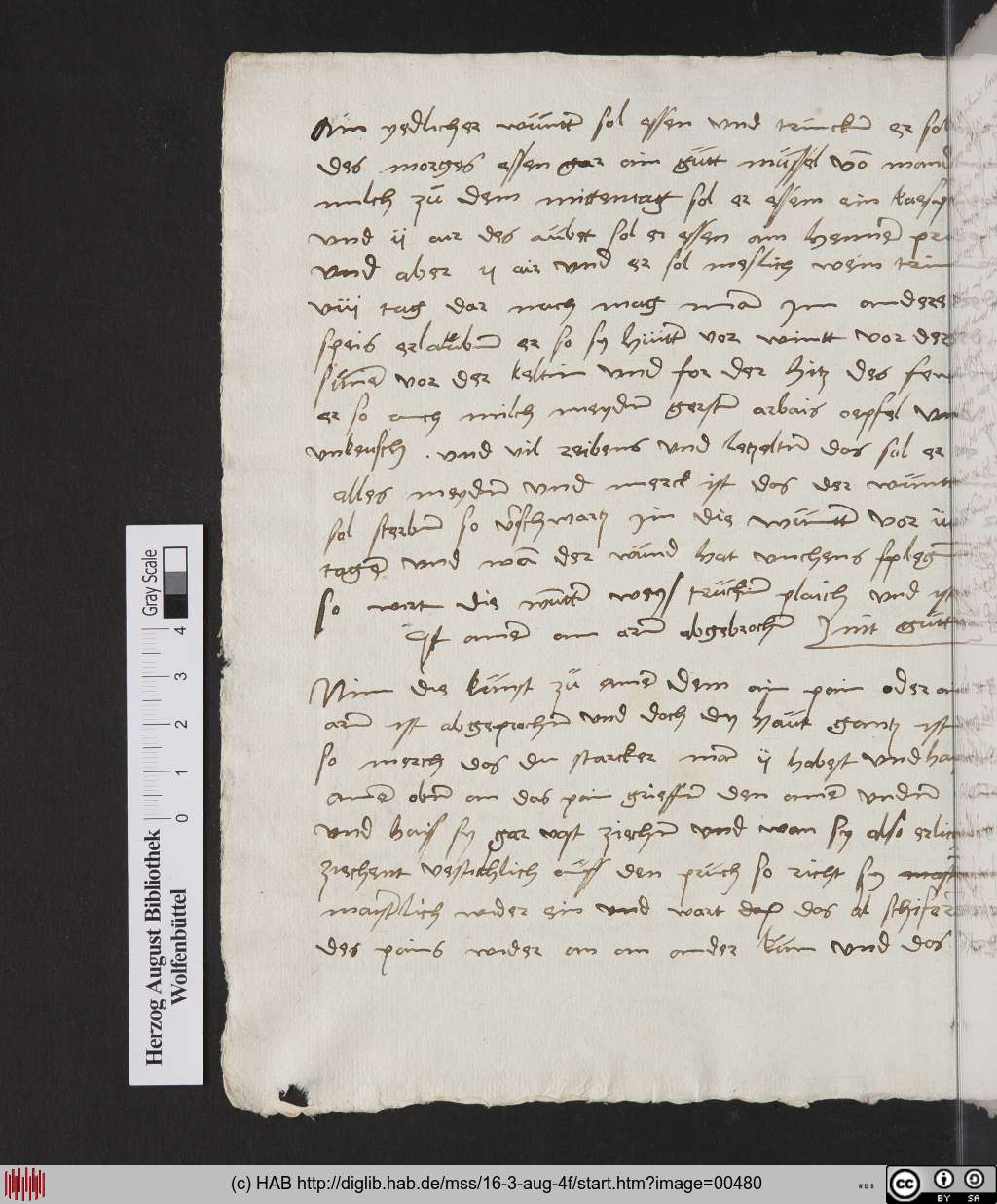 http://diglib.hab.de/mss/16-3-aug-4f/00480.jpg
