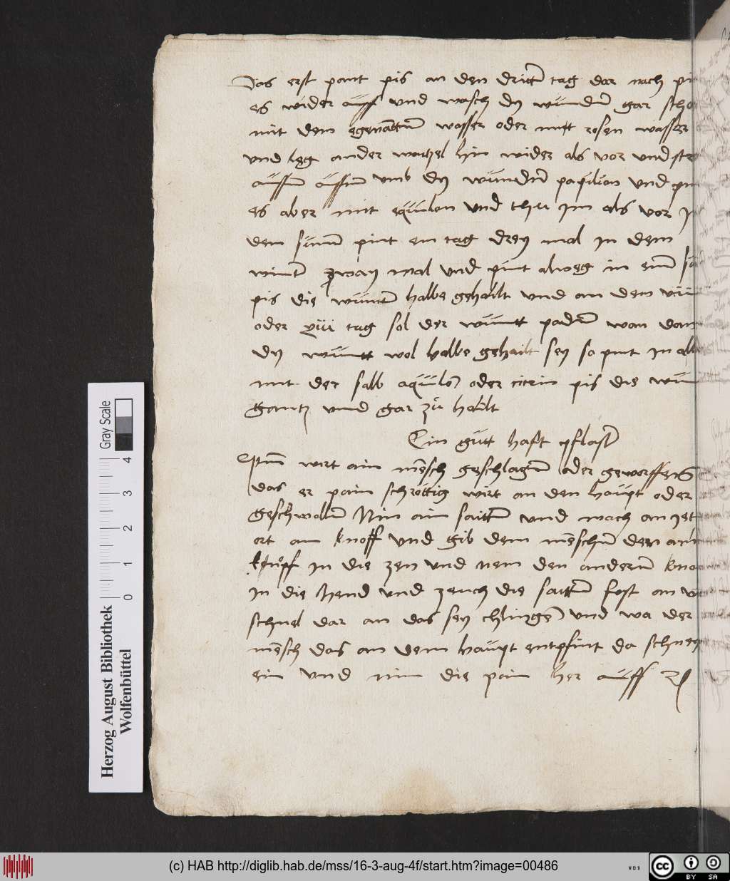 http://diglib.hab.de/mss/16-3-aug-4f/00486.jpg