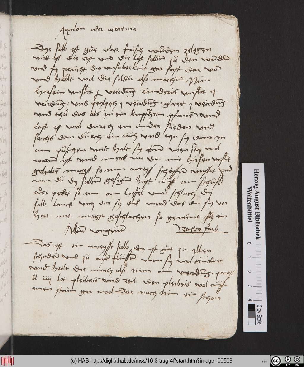 http://diglib.hab.de/mss/16-3-aug-4f/00509.jpg