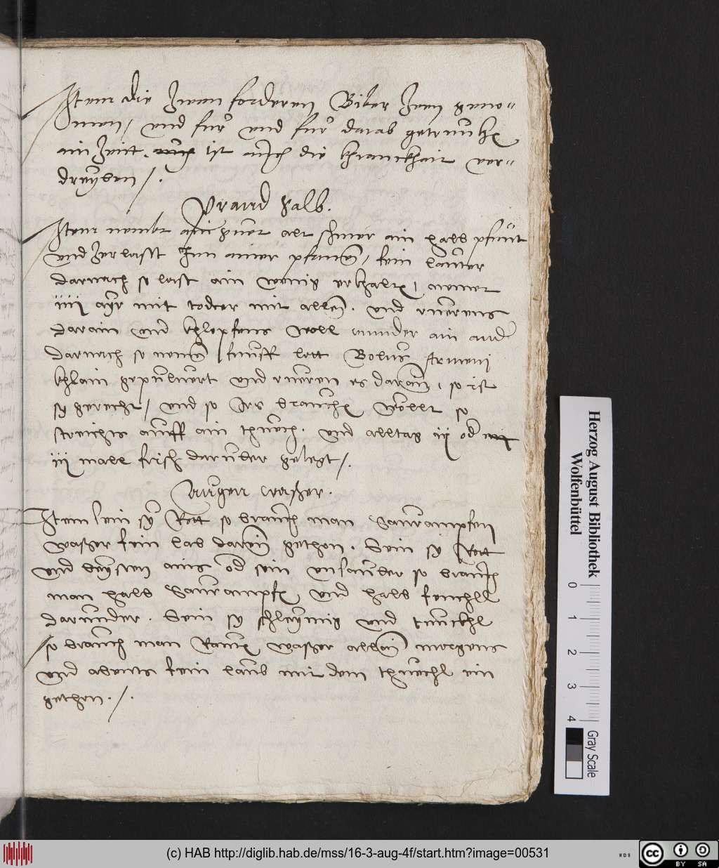 http://diglib.hab.de/mss/16-3-aug-4f/00531.jpg