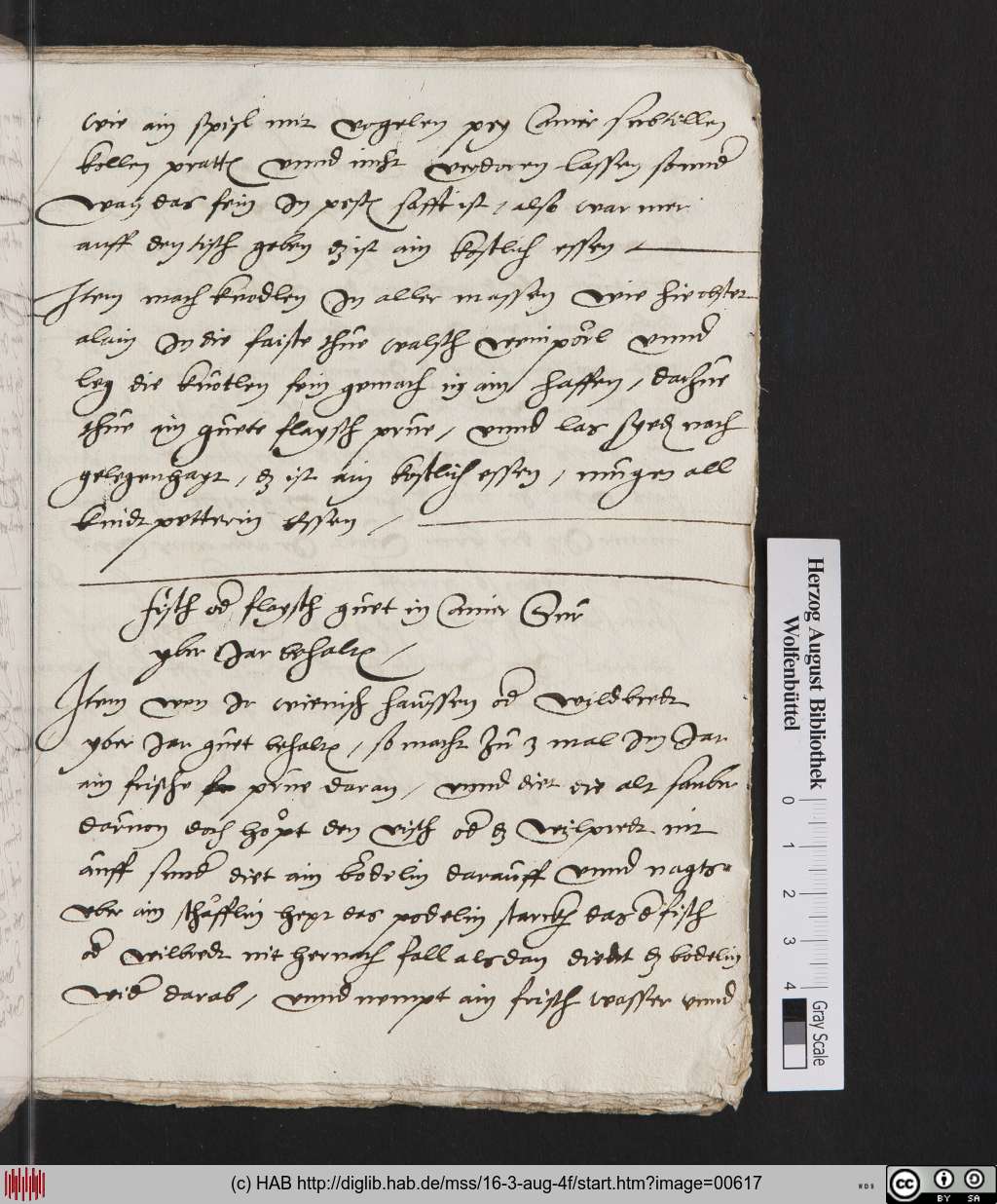 http://diglib.hab.de/mss/16-3-aug-4f/00617.jpg
