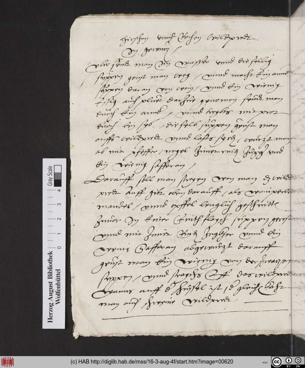 http://diglib.hab.de/mss/16-3-aug-4f/00620.jpg