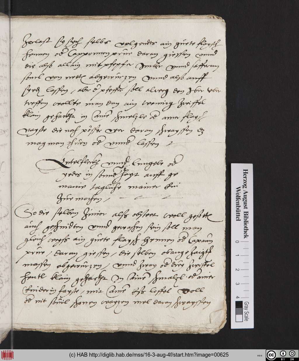 http://diglib.hab.de/mss/16-3-aug-4f/00625.jpg
