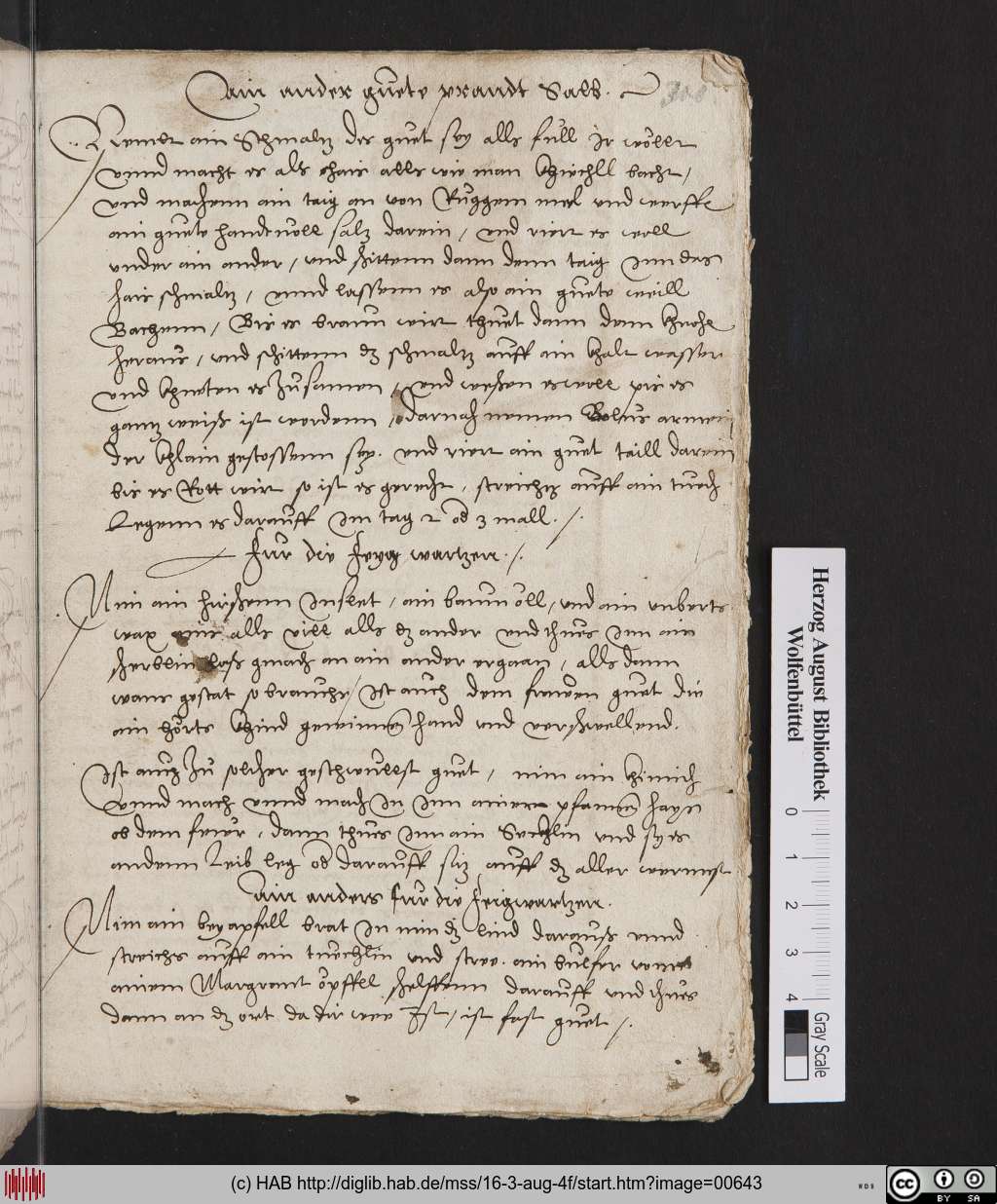 http://diglib.hab.de/mss/16-3-aug-4f/00643.jpg