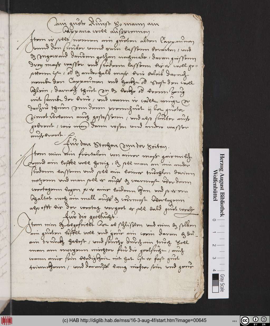 http://diglib.hab.de/mss/16-3-aug-4f/00645.jpg