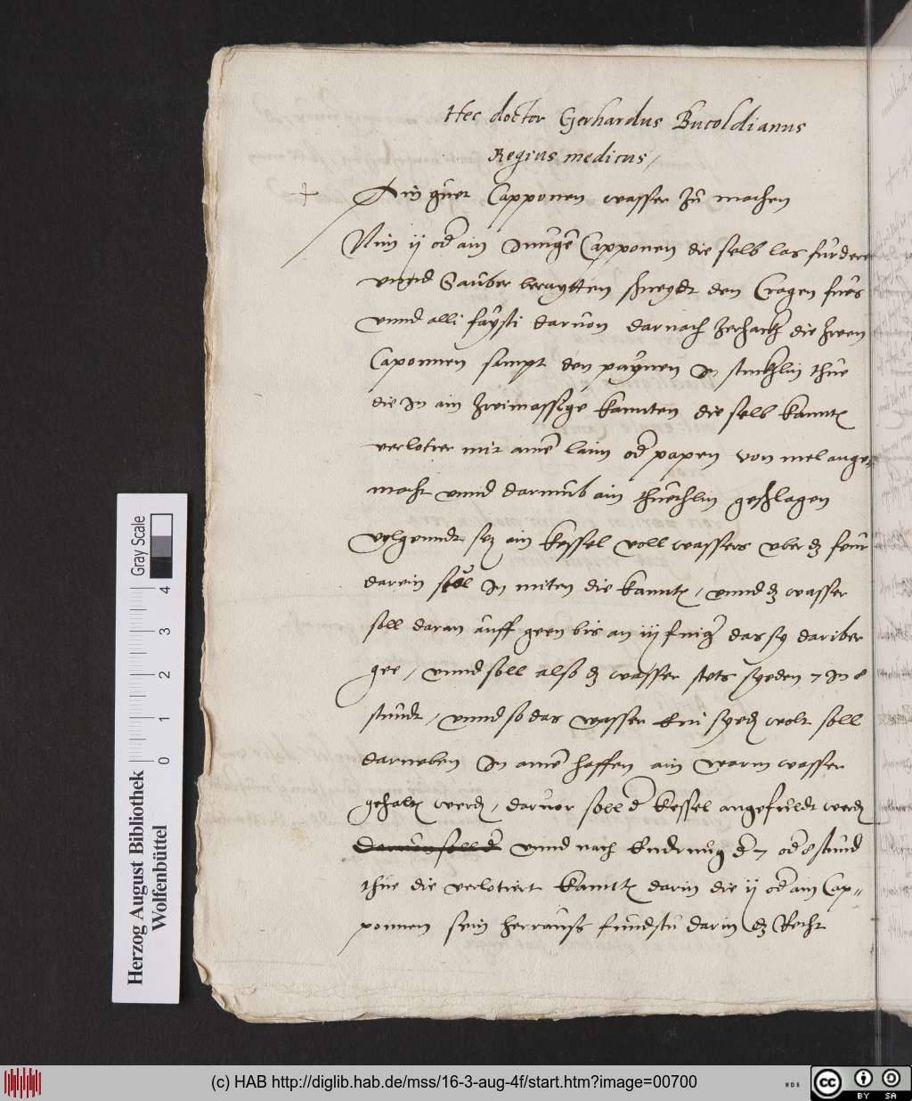 http://diglib.hab.de/mss/16-3-aug-4f/00700.jpg