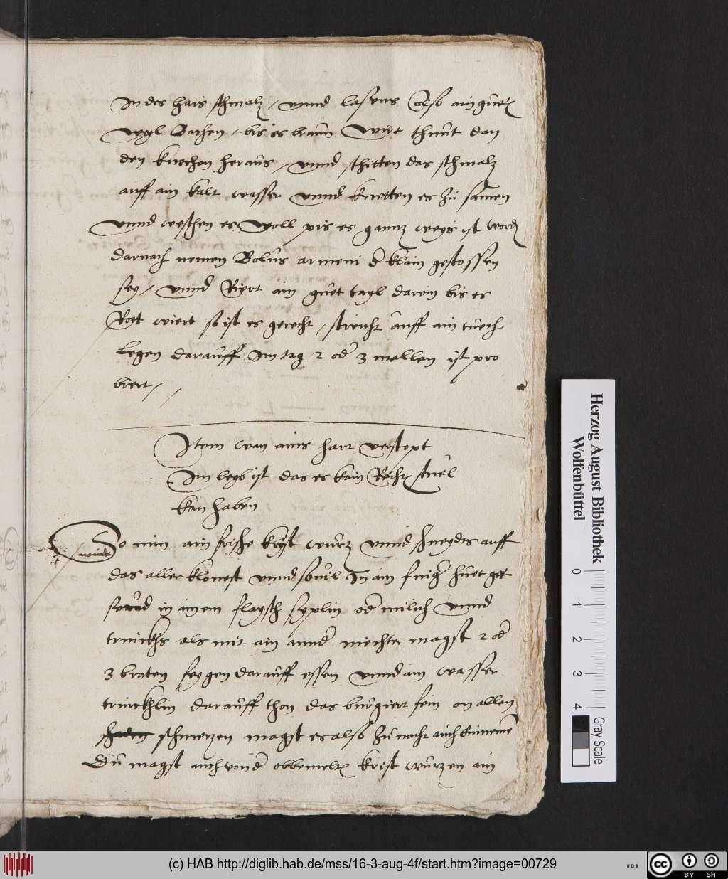 http://diglib.hab.de/mss/16-3-aug-4f/00729.jpg