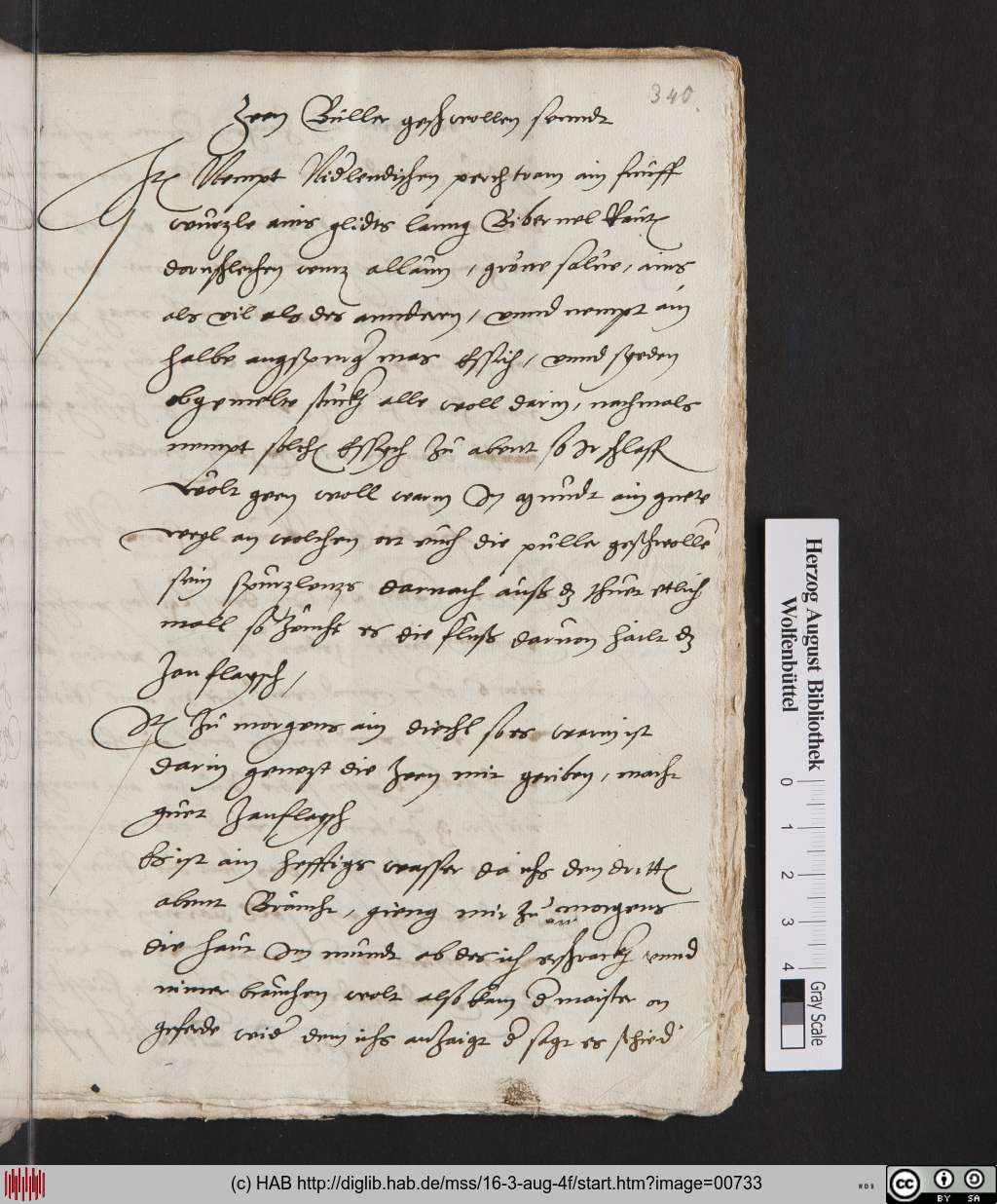 http://diglib.hab.de/mss/16-3-aug-4f/00733.jpg