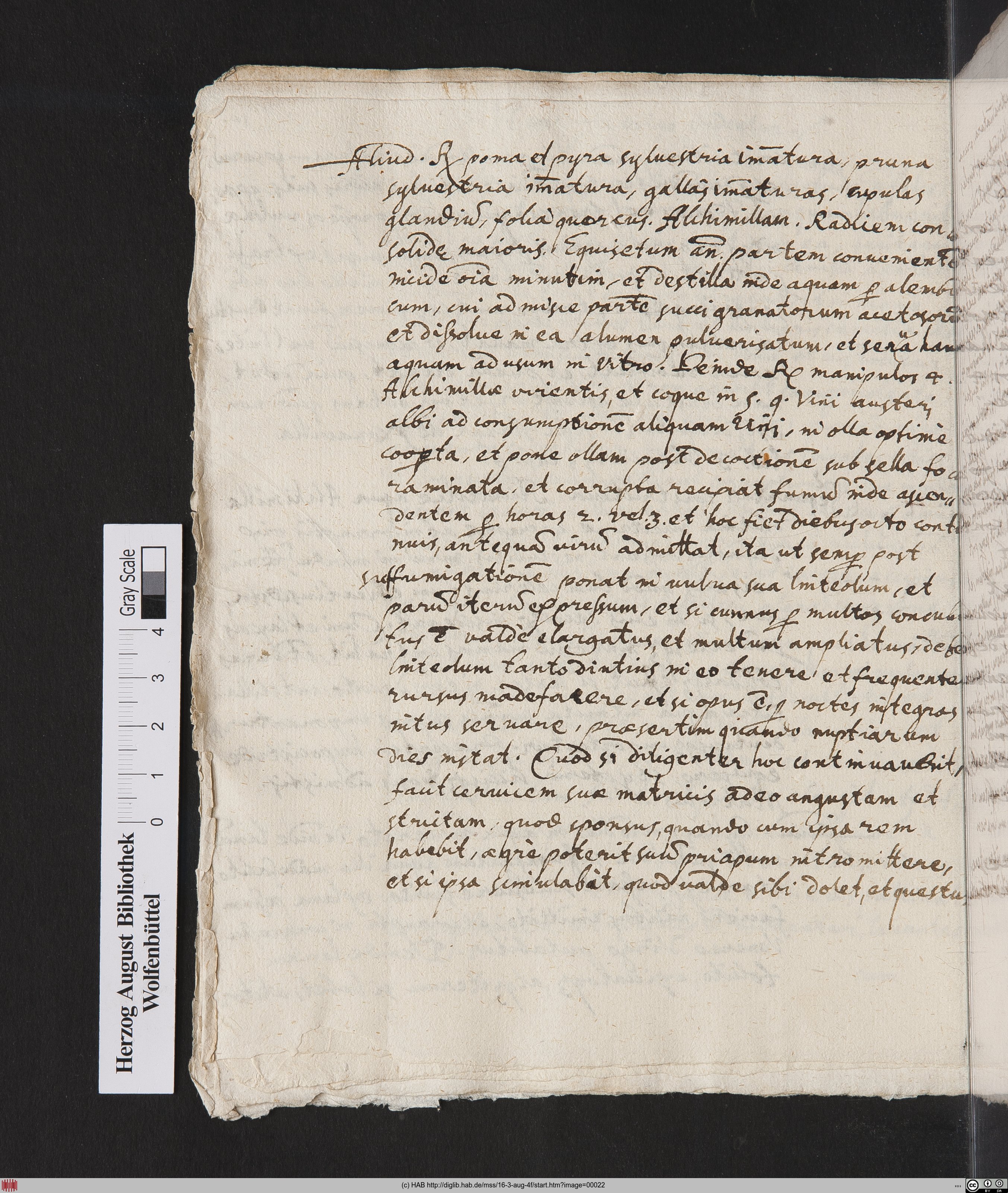 http://diglib.hab.de/mss/16-3-aug-4f/max/00022.jpg