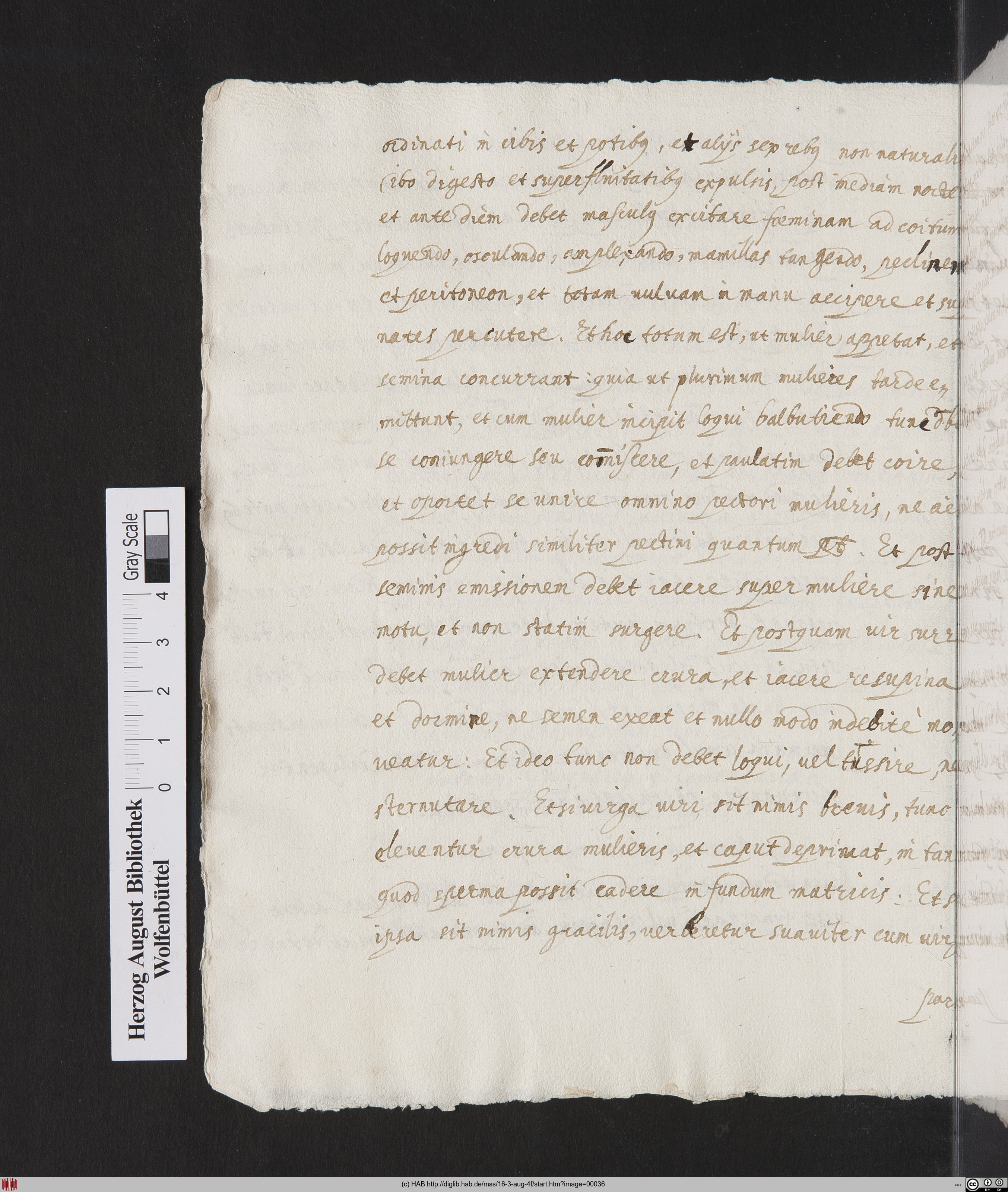 http://diglib.hab.de/mss/16-3-aug-4f/max/00036.jpg