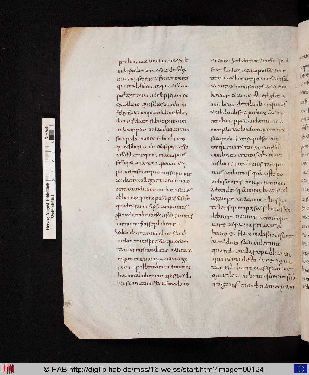 http://diglib.hab.de/mss/16-weiss/00124.jpg