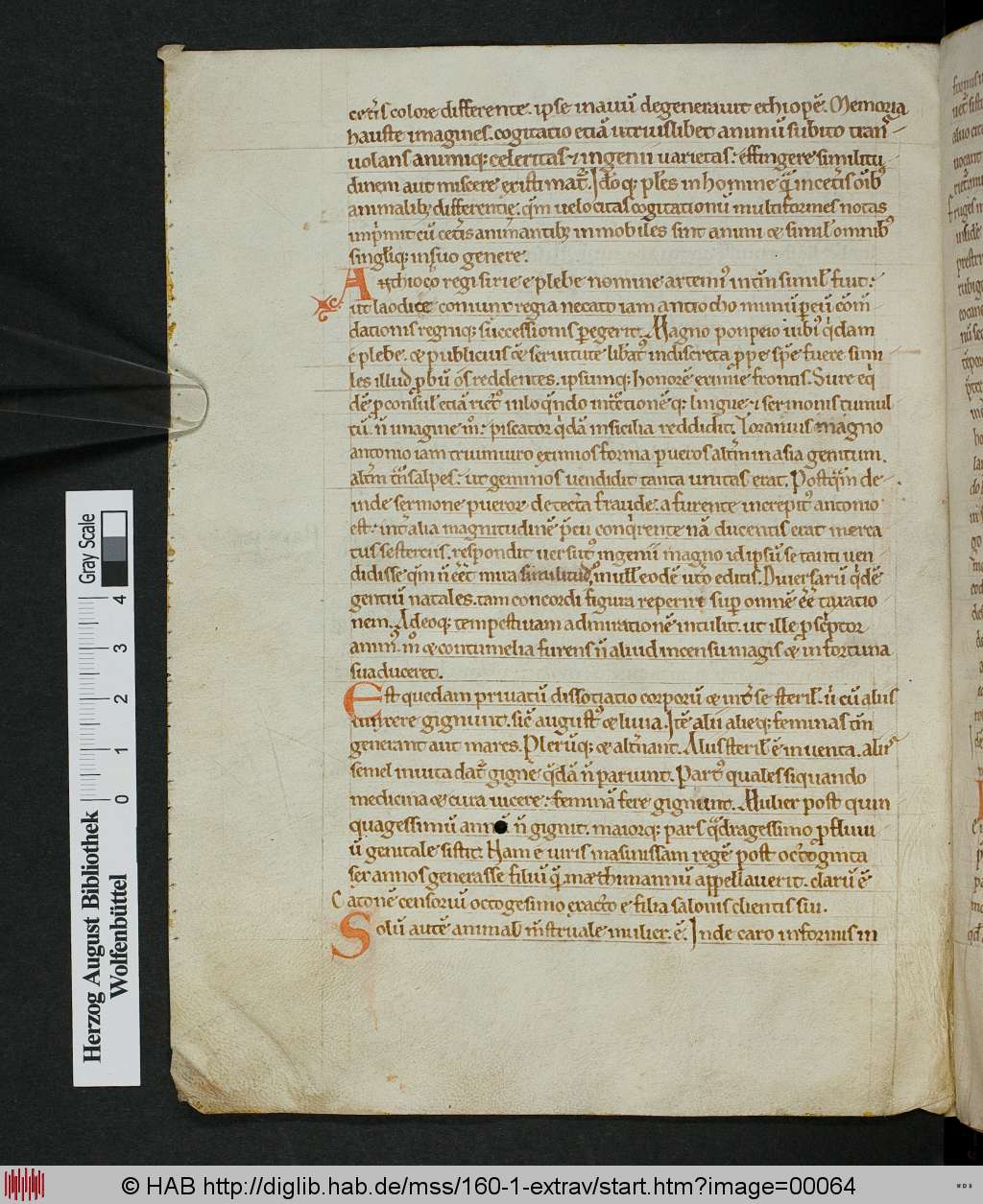 http://diglib.hab.de/mss/160-1-extrav/00064.jpg