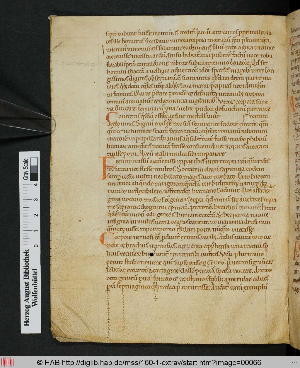 http://diglib.hab.de/mss/160-1-extrav/00066.jpg
