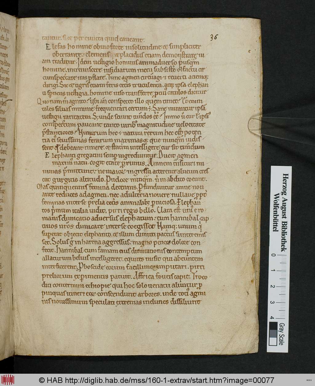 http://diglib.hab.de/mss/160-1-extrav/00077.jpg