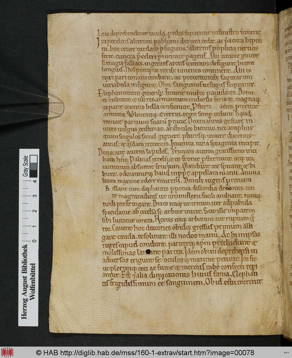 http://diglib.hab.de/mss/160-1-extrav/00078.jpg