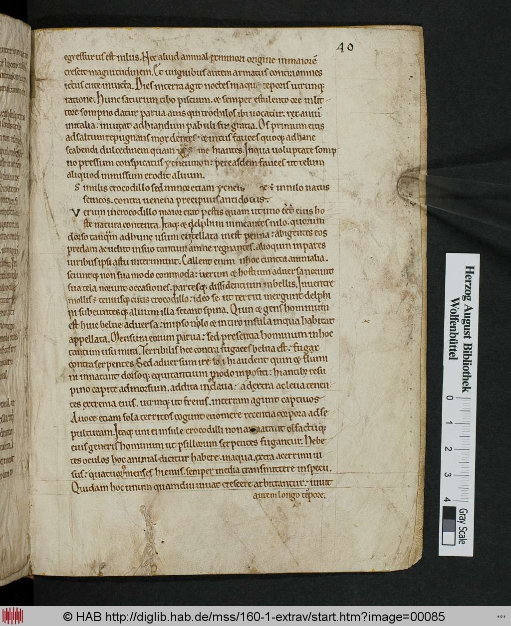 http://diglib.hab.de/mss/160-1-extrav/00085.jpg