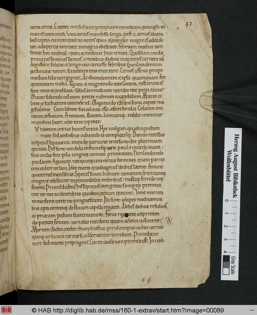http://diglib.hab.de/mss/160-1-extrav/00089.jpg