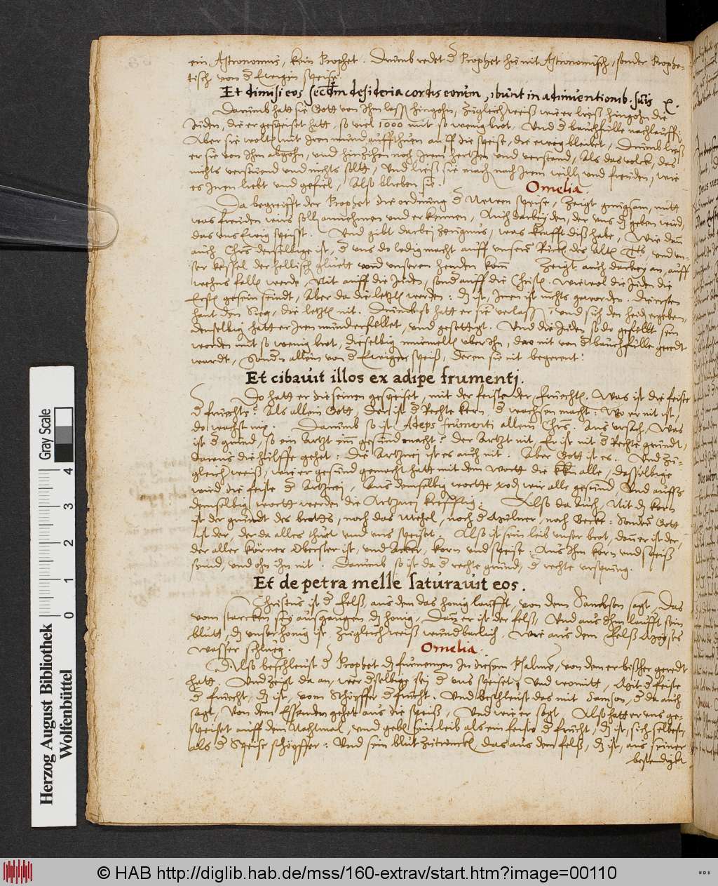 http://diglib.hab.de/mss/160-extrav/00110.jpg