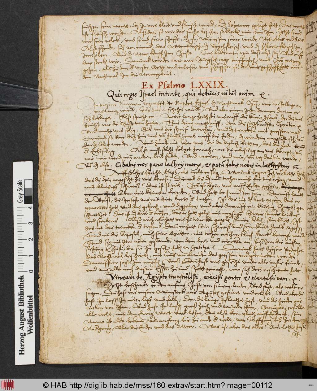 http://diglib.hab.de/mss/160-extrav/00112.jpg
