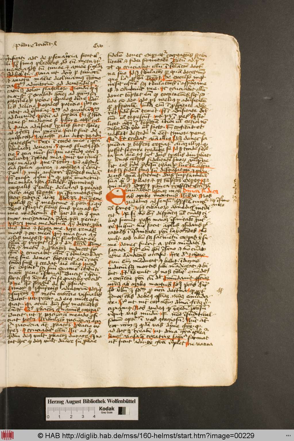 http://diglib.hab.de/mss/160-helmst/00229.jpg