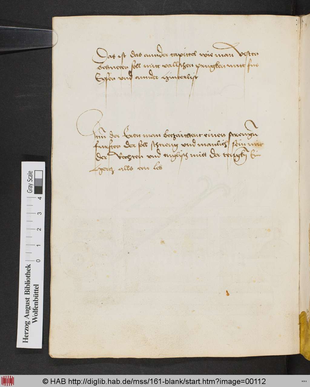 http://diglib.hab.de/mss/161-blank/00112.jpg