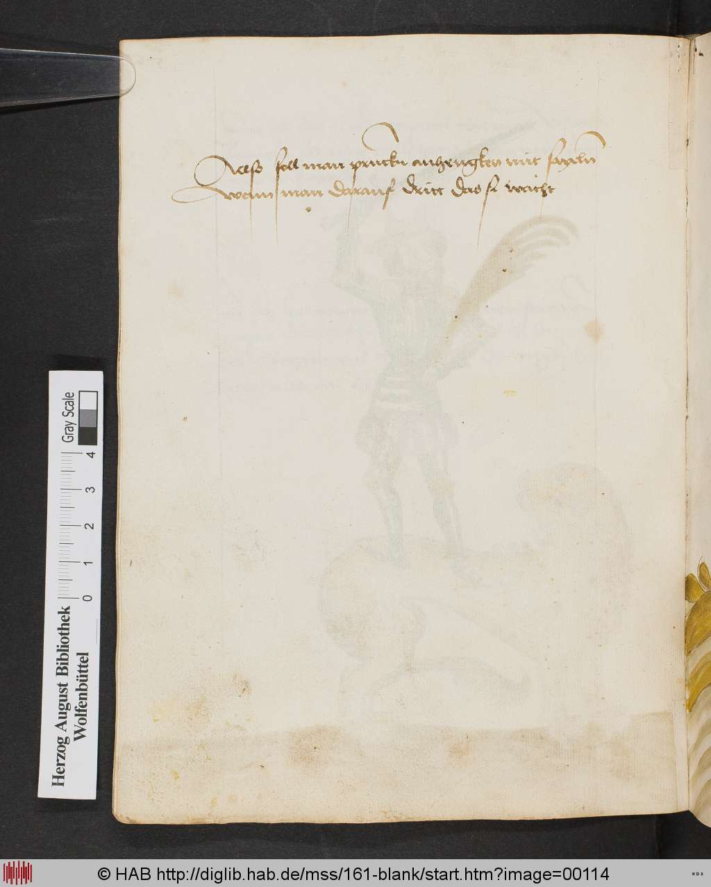 http://diglib.hab.de/mss/161-blank/00114.jpg