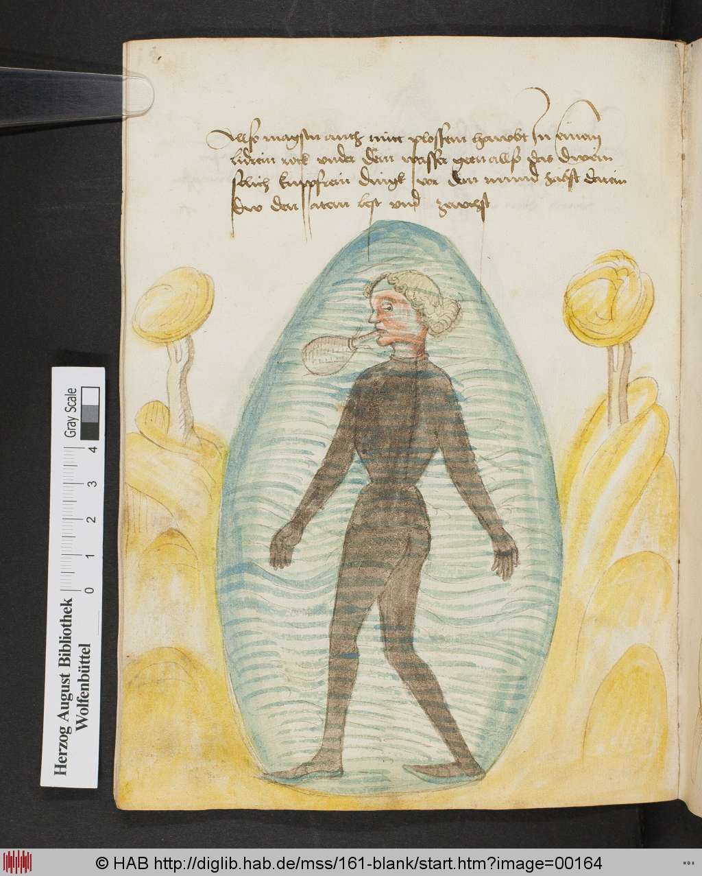 http://diglib.hab.de/mss/161-blank/00164.jpg